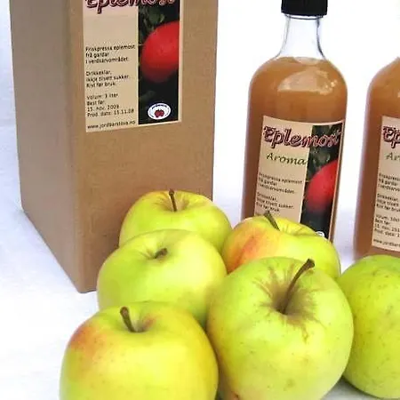 Jordbaerstova فندق مبيت وإفطار فالدال