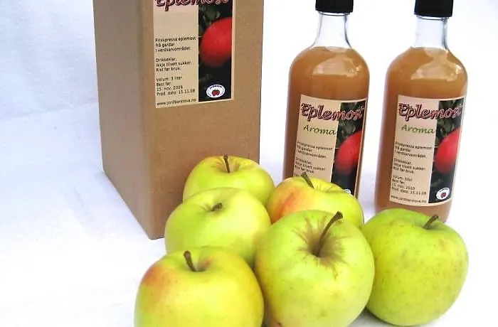 Jordbaerstova Frühstückspension Valldal